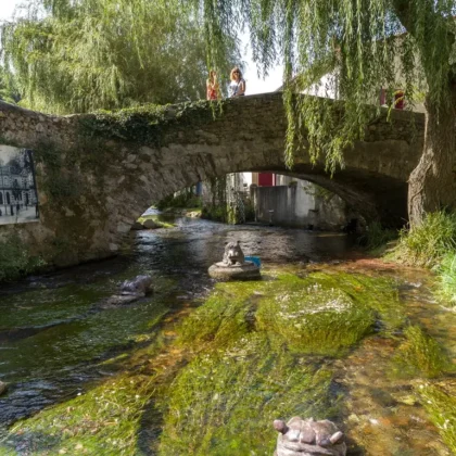 Une ruelle pittoresque et fleurie du village artisanal de Durfort, situé à quelques kilomètres du Camping Saint Martin à Sorèze, invitant à la découverte de ses artisans du cuivre.