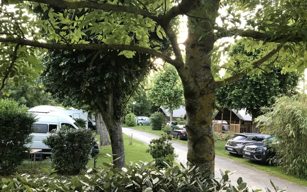 Emplacement ombragé pour tente, camping-car ou caravane au camping Saint-Martin, entouré d'arbres et de verdure pour des vacances en pleine nature.