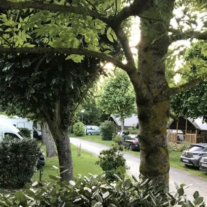 Locations 6 Emplacement ombragé pour tente, camping-car ou caravane au camping Saint-Martin, entouré d'arbres et de verdure pour des vacances en pleine nature. Profitez de nos emplacements ombragés pour tente, camping-car ou caravane au camping Saint-Martin, en plein cœur d’un cadre verdoyant et paisible.
