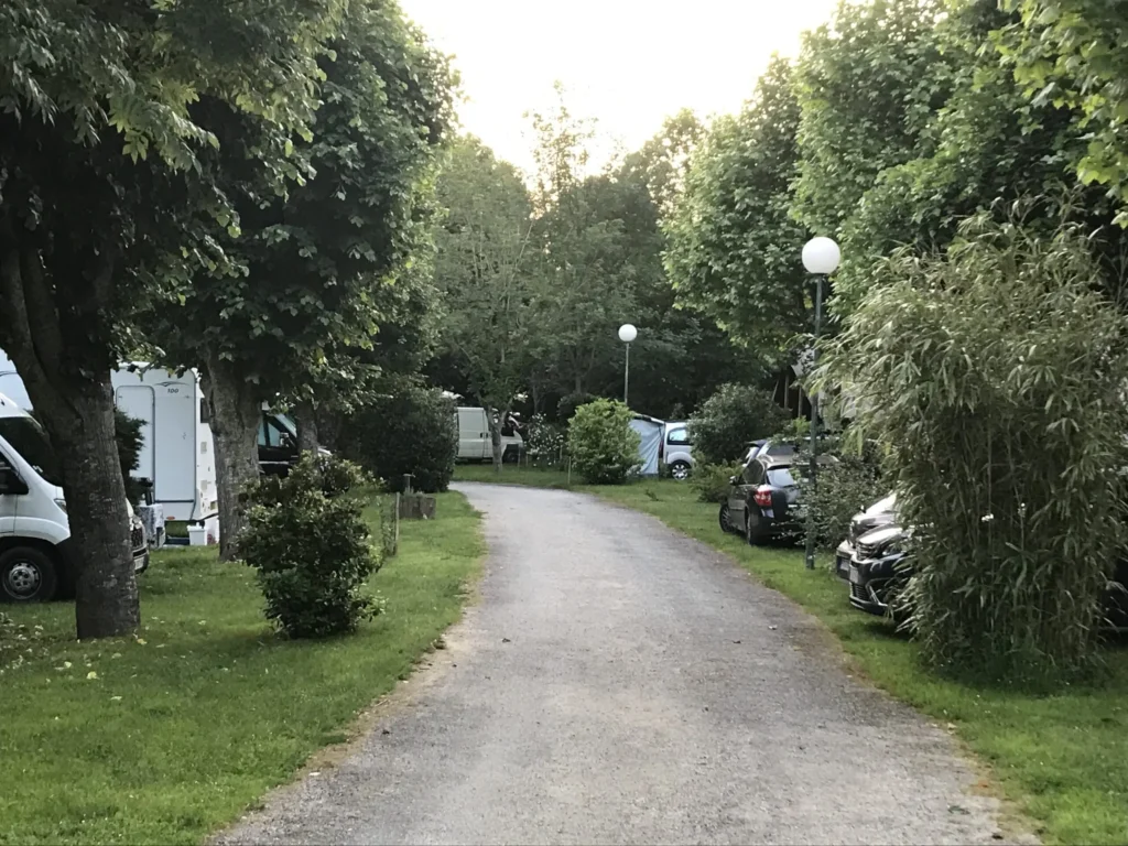Zone emplacements camping ombragé au camping Saint Martin à Sorèze, dans le Tarn, entouré d'arbres et de verdure.