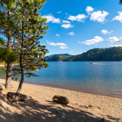 Accueil 25 Plage du lac Saint-Ferréol à Sorèze dans le Tarn, entourée de pins et de nature préservée, idéale pour des vacances en plein air. Profitez de la plage du lac Saint-Ferréol à Sorèze, un cadre naturel et préservé pour des moments de détente en famille.